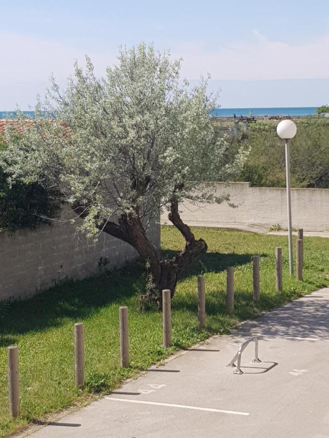 La Rose Des Sables, T2 A La Mer, Terrasse Et Garage Фронтинян Екстериор снимка