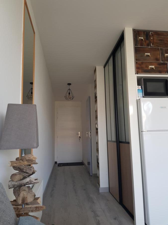 La Rose Des Sables, T2 A La Mer, Terrasse Et Garage Фронтинян Екстериор снимка