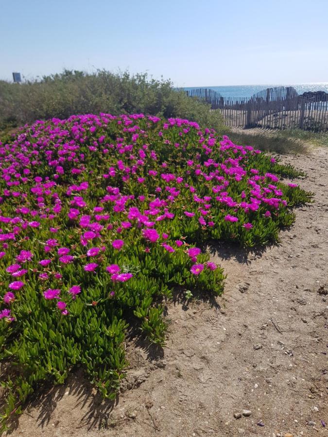 La Rose Des Sables, T2 A La Mer, Terrasse Et Garage Фронтинян Екстериор снимка