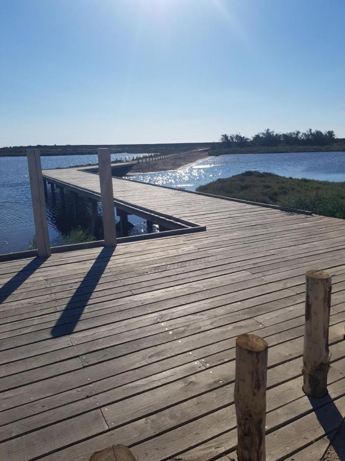 La Rose Des Sables, T2 A La Mer, Terrasse Et Garage Фронтинян Екстериор снимка