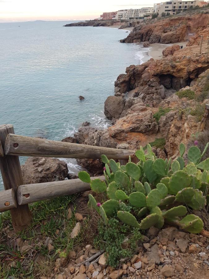 La Rose Des Sables, T2 A La Mer, Terrasse Et Garage Фронтинян Екстериор снимка